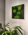 POLEMOSS & MUSCHIO - quadro 40x40 cm