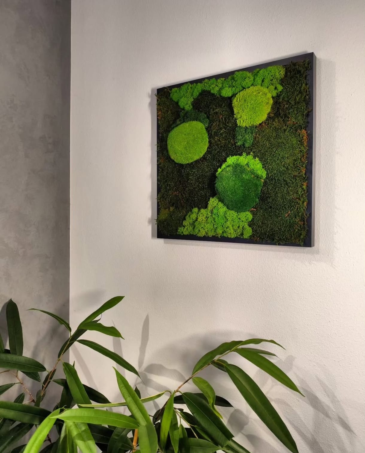 POLEMOSS & MUSCHIO - quadro 40x40 cm