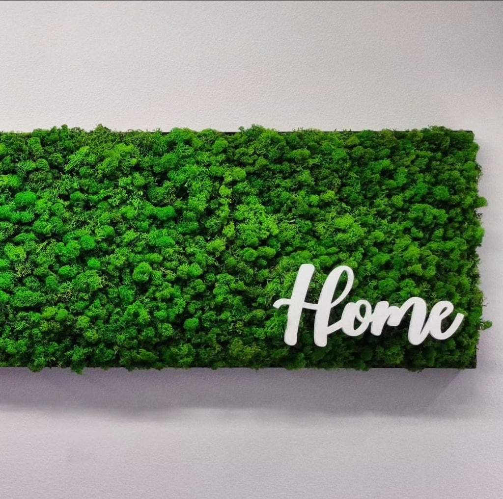 LICHENE STABILIZZATO - Quadro orizzontale 230x40cm