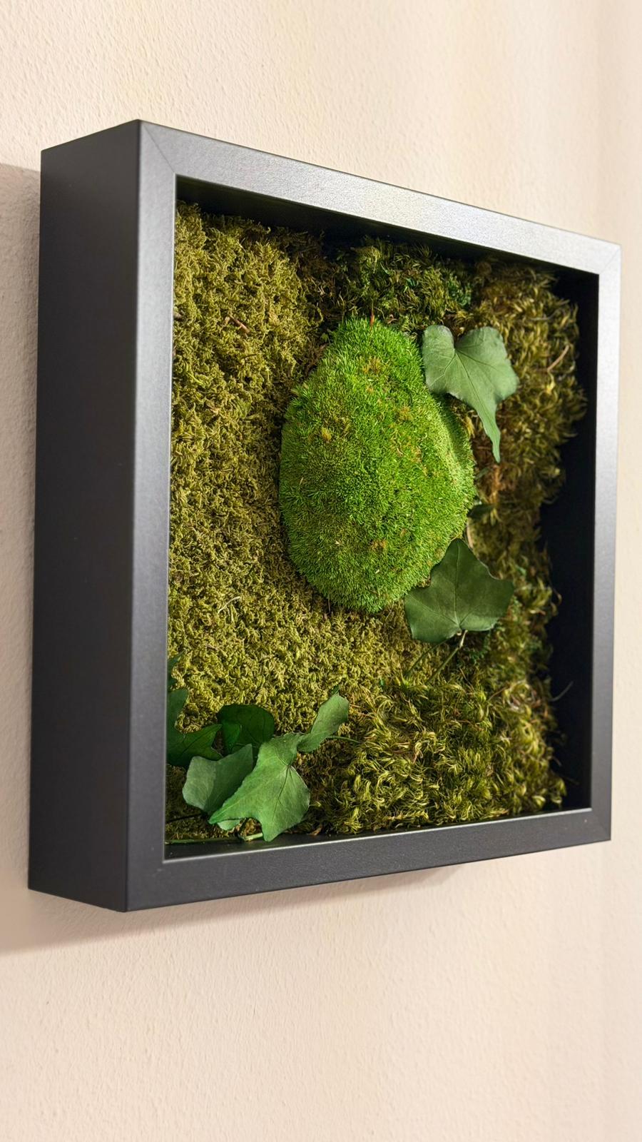 POLEMOSS & FOREST HAIR MOSS - quadro 25x 25cm