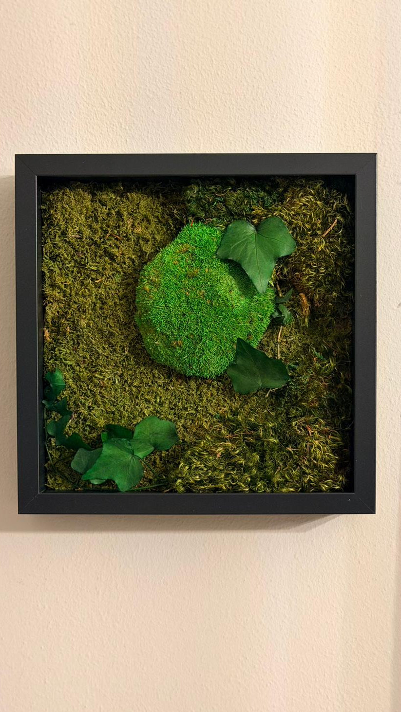 POLEMOSS & FOREST HAIR MOSS - quadro 25x 25cm