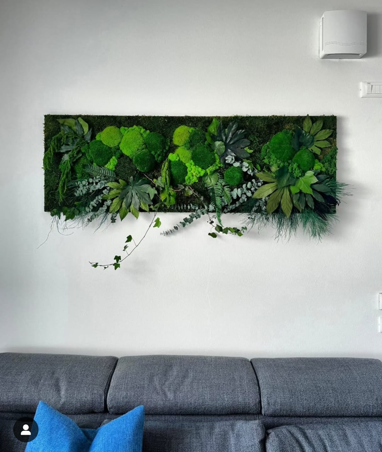 JUNGLE MOSS - rettangolo orizzontale