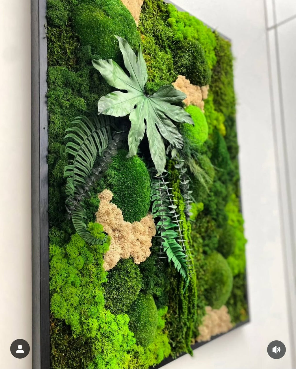JUNGLE MOSS - quadro 70 x 50 cm